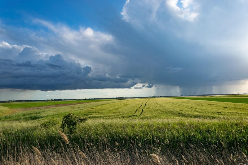 Natural repellents in agriculture