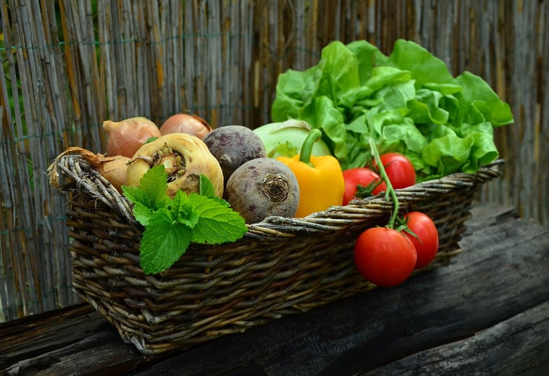 Summer Harvesting